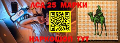 мдпв Канаш