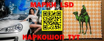 молекула духа Кандалакша